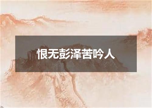 恨无彭泽苦吟人