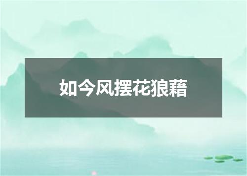 如今风摆花狼藉