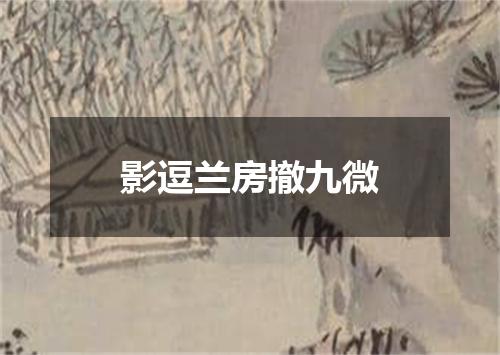 影逗兰房撤九微