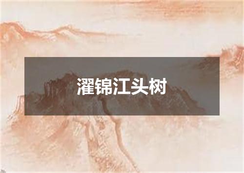濯锦江头树