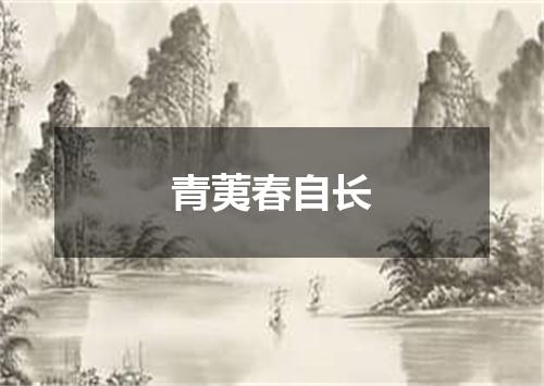 青荑春自长