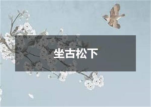 坐古松下