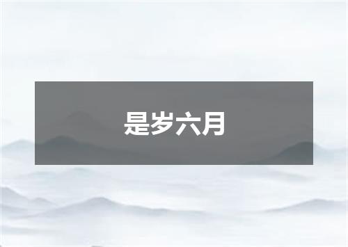 是岁六月