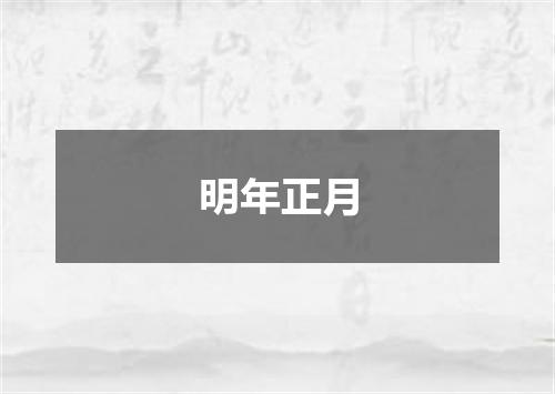 明年正月