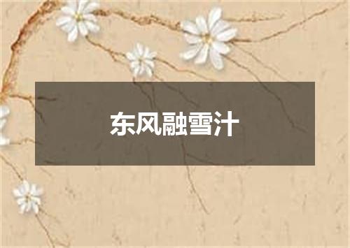 东风融雪汁