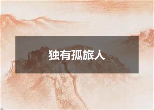 独有孤旅人