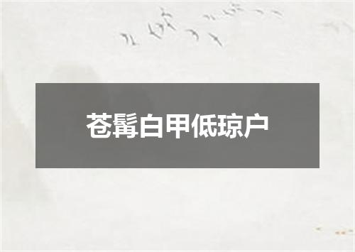 苍髯白甲低琼户