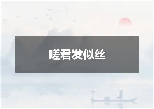 嗟君发似丝