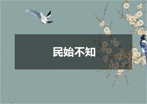 民始不知