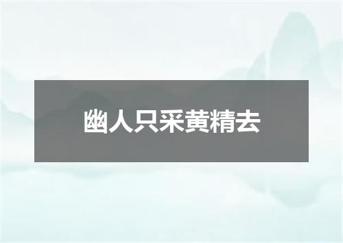 幽人只采黄精去