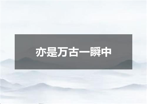 亦是万古一瞬中