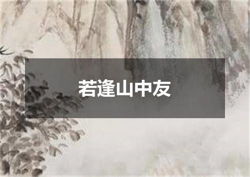 若逢山中友