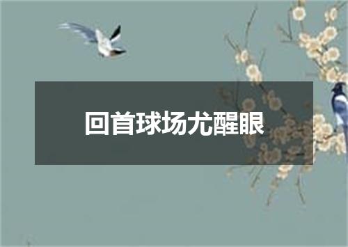 回首球场尤醒眼
