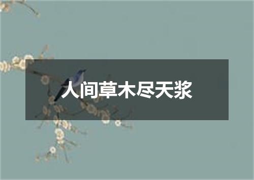 人间草木尽天浆