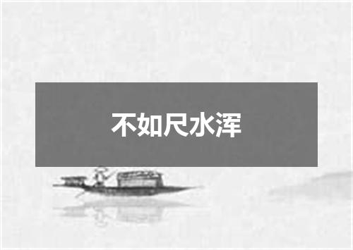 不如尺水浑