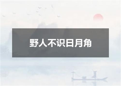 野人不识日月角