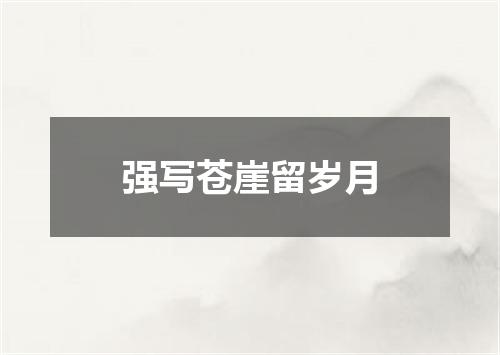强写苍崖留岁月