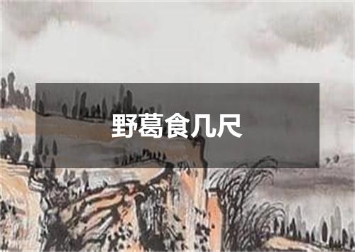 野葛食几尺