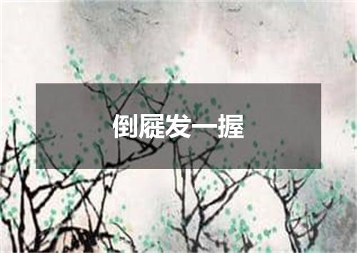 倒屣发一握