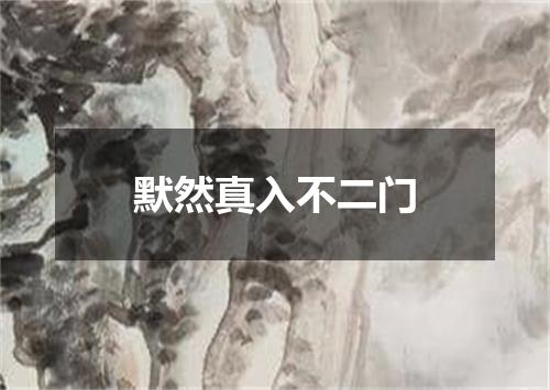 默然真入不二门