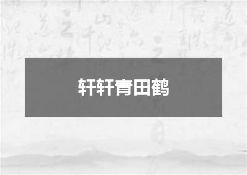轩轩青田鹤