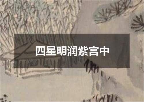 四星明润紫宫中