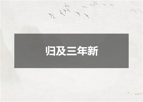 归及三年新