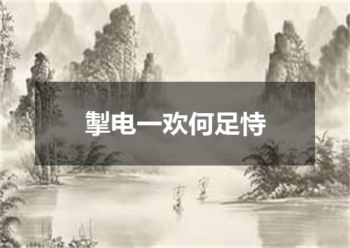 掣电一欢何足恃