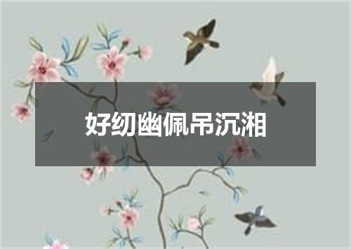 好纫幽佩吊沉湘