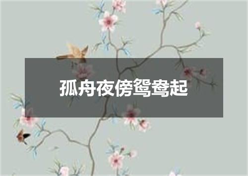 孤舟夜傍鸳鸯起