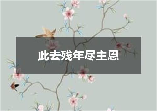 此去残年尽主恩