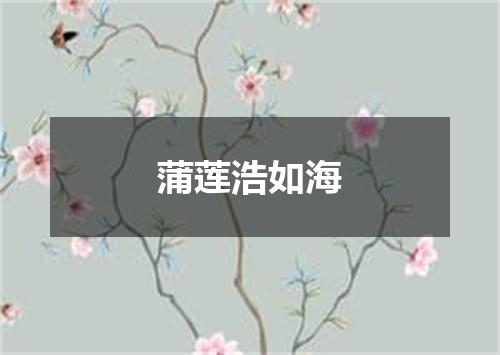 蒲莲浩如海