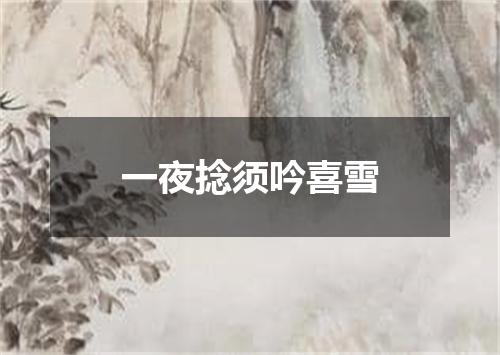 一夜捻须吟喜雪