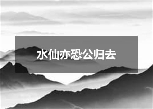 水仙亦恐公归去