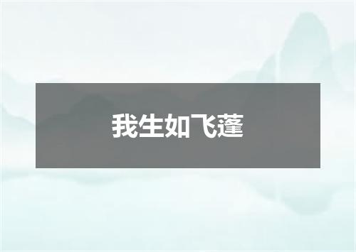 我生如飞蓬