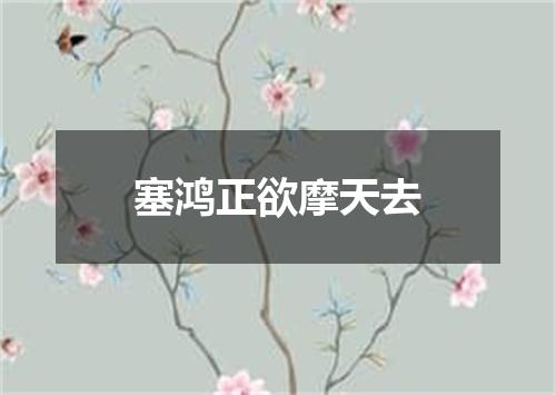 塞鸿正欲摩天去