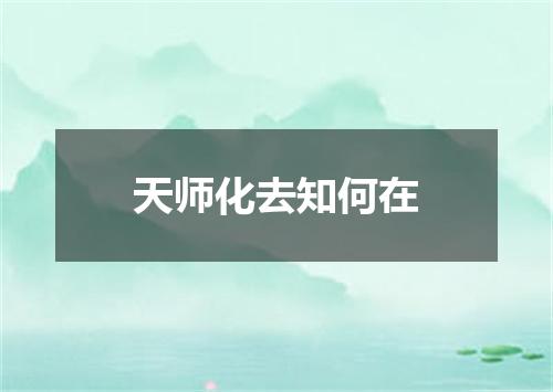 天师化去知何在