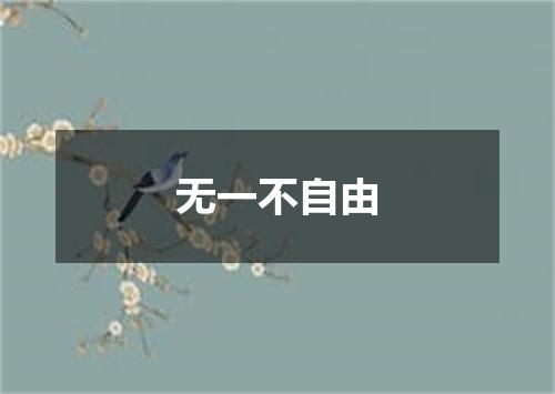 无一不自由