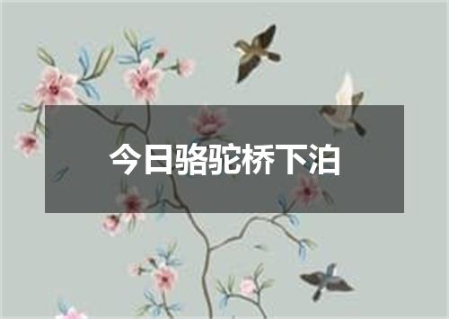 今日骆驼桥下泊