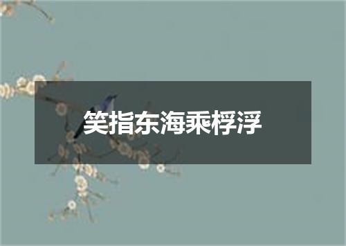 笑指东海乘桴浮