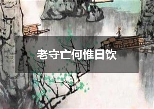 老守亡何惟日饮