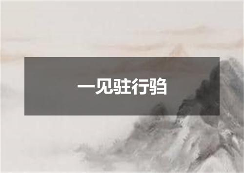 一见驻行驺
