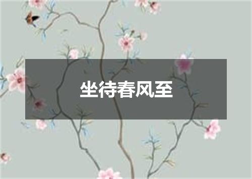 坐待春风至