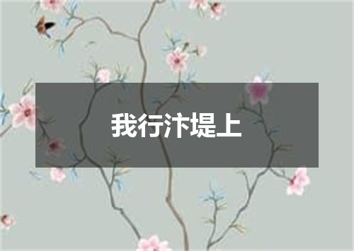 我行汴堤上