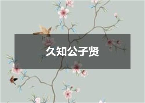 久知公子贤