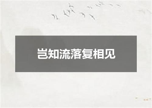 岂知流落复相见