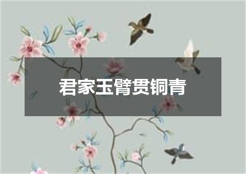 君家玉臂贯铜青
