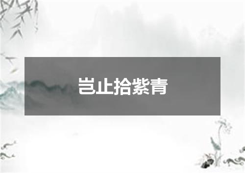 岂止拾紫青