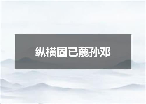 纵横固已蔑孙邓