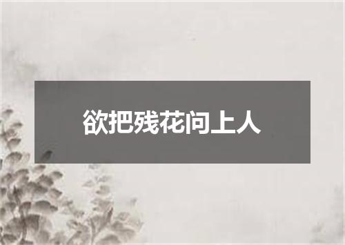 欲把残花问上人